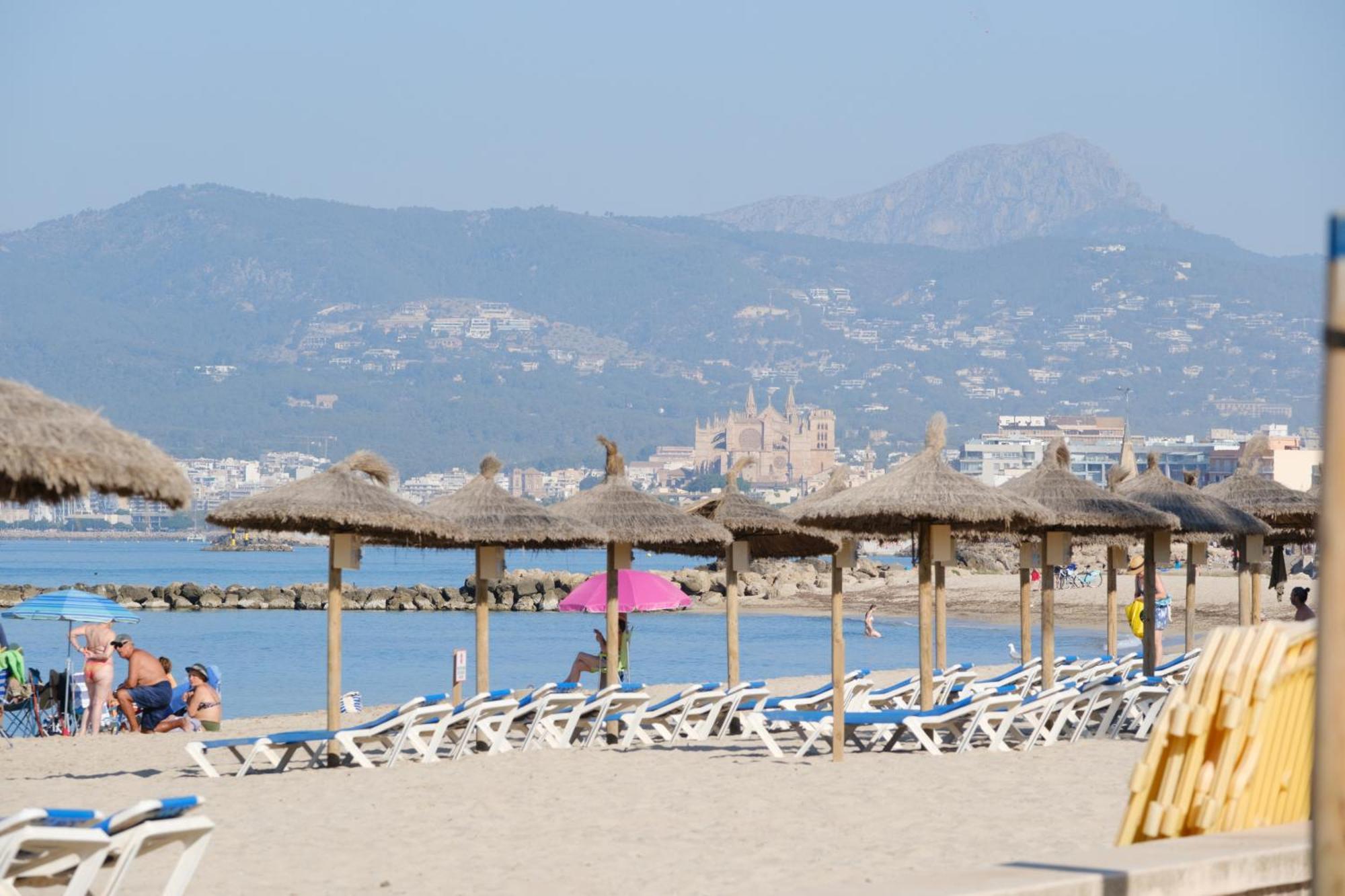 Hotel Ciutat Jardi Palma de Mallorca Zewnętrze zdjęcie
