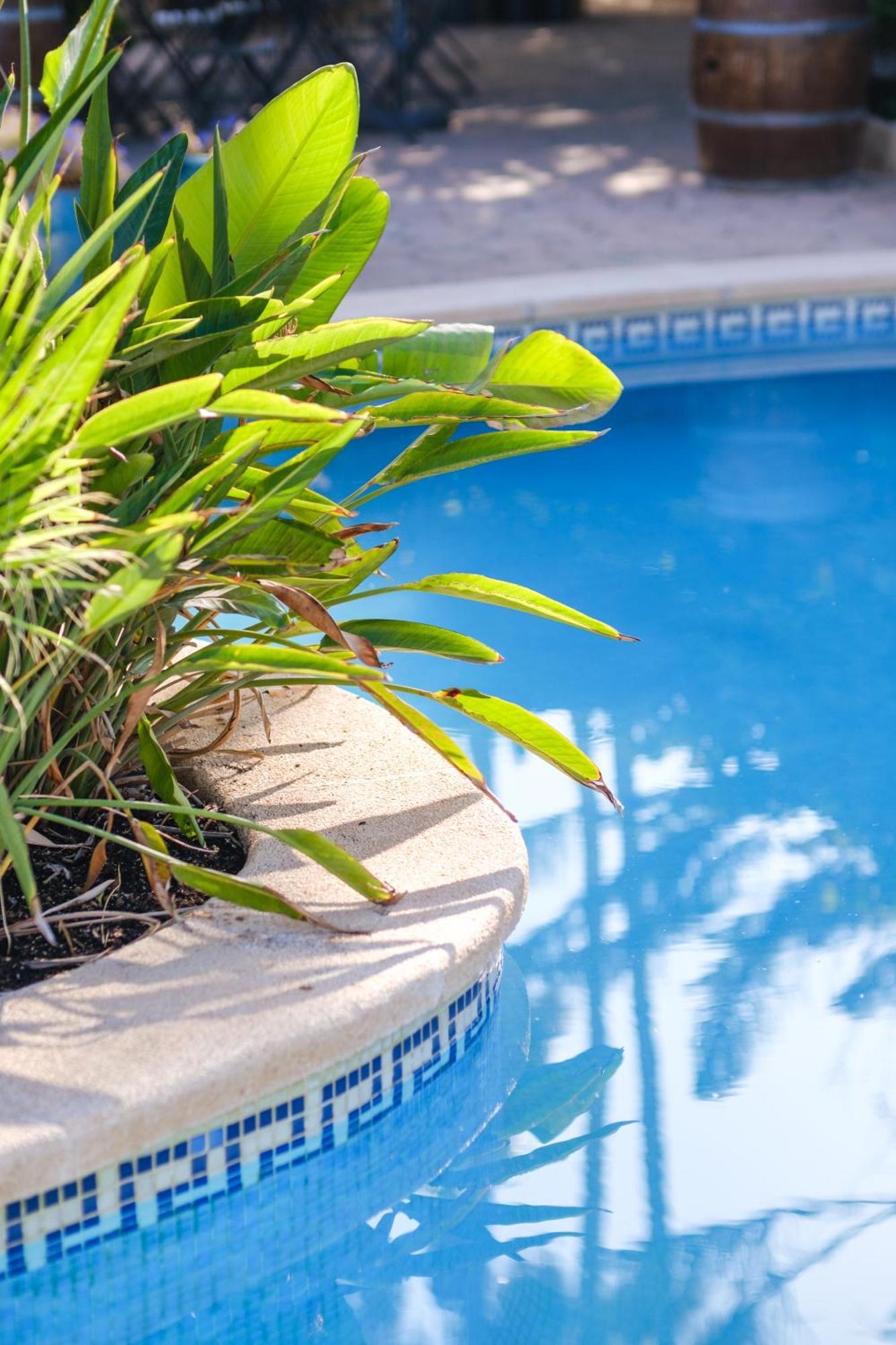 Hotel Ciutat Jardi Palma de Mallorca Zewnętrze zdjęcie