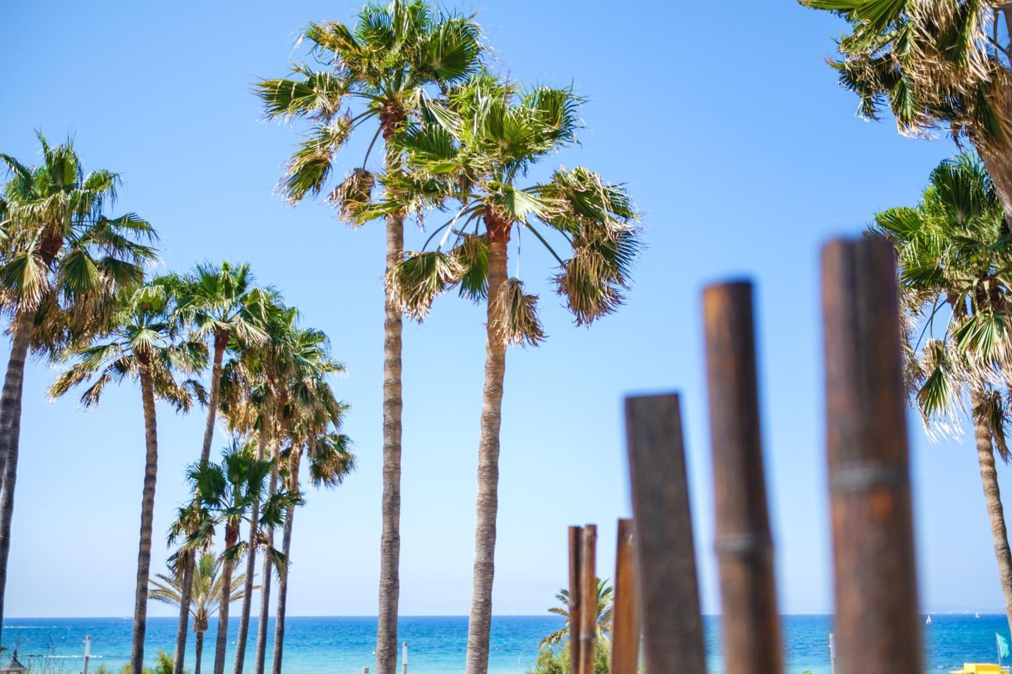 Hotel Ciutat Jardi Palma de Mallorca Zewnętrze zdjęcie